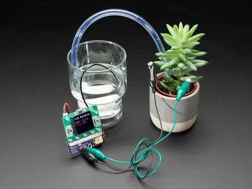 Adafruit Bonsai Buckaroo — micro:bit & CLUE Помощник по уходу за растениями